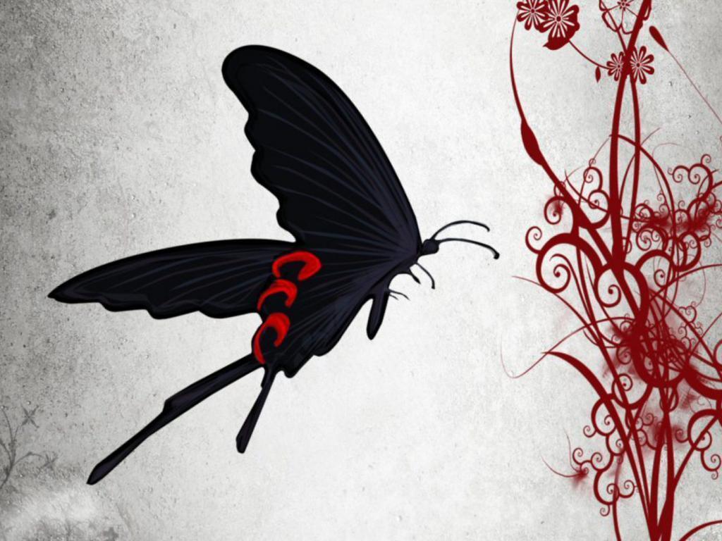 1024x768 Abstract Butterfly Wallpaper