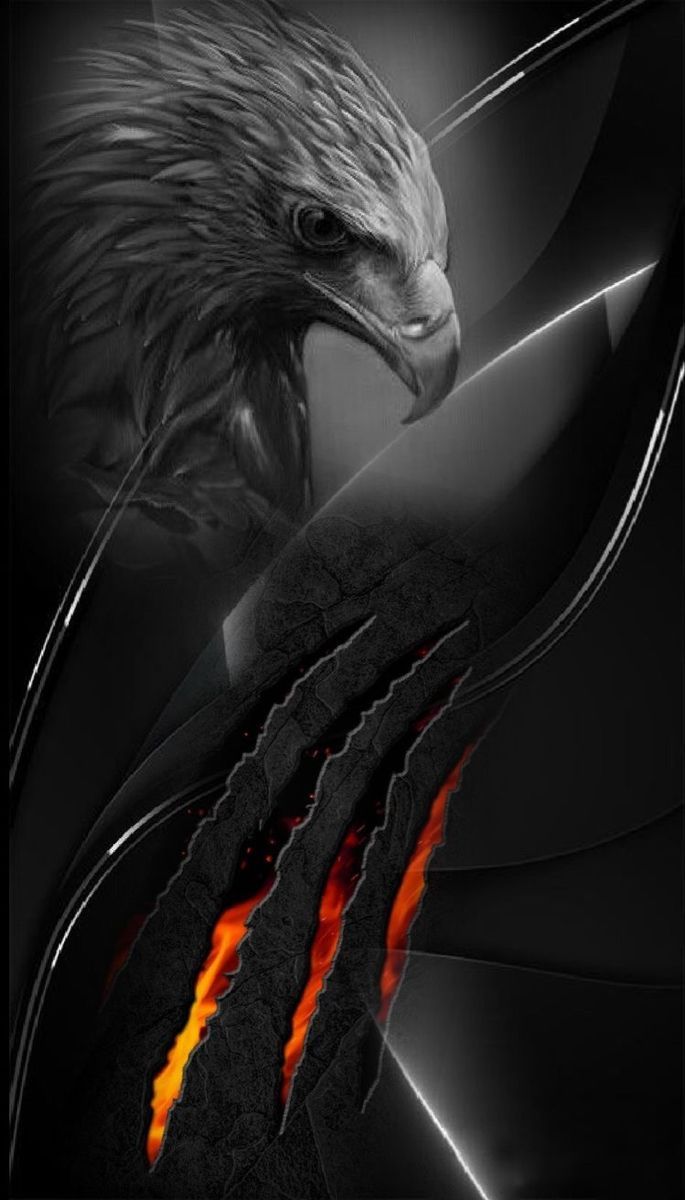 685x1200 Zᴀᥴʜᴀʀ꯵ᴀʜ