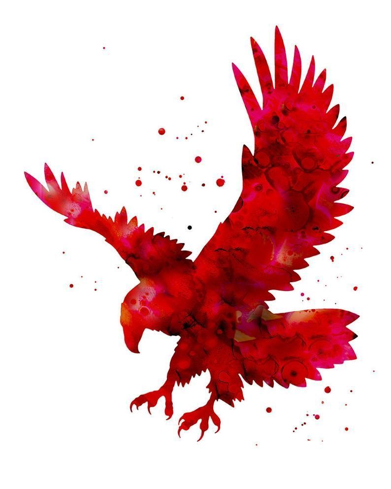 794x993 Homescreen wallpaper ideas. homescreen wallpaper, pet birds, eagle art