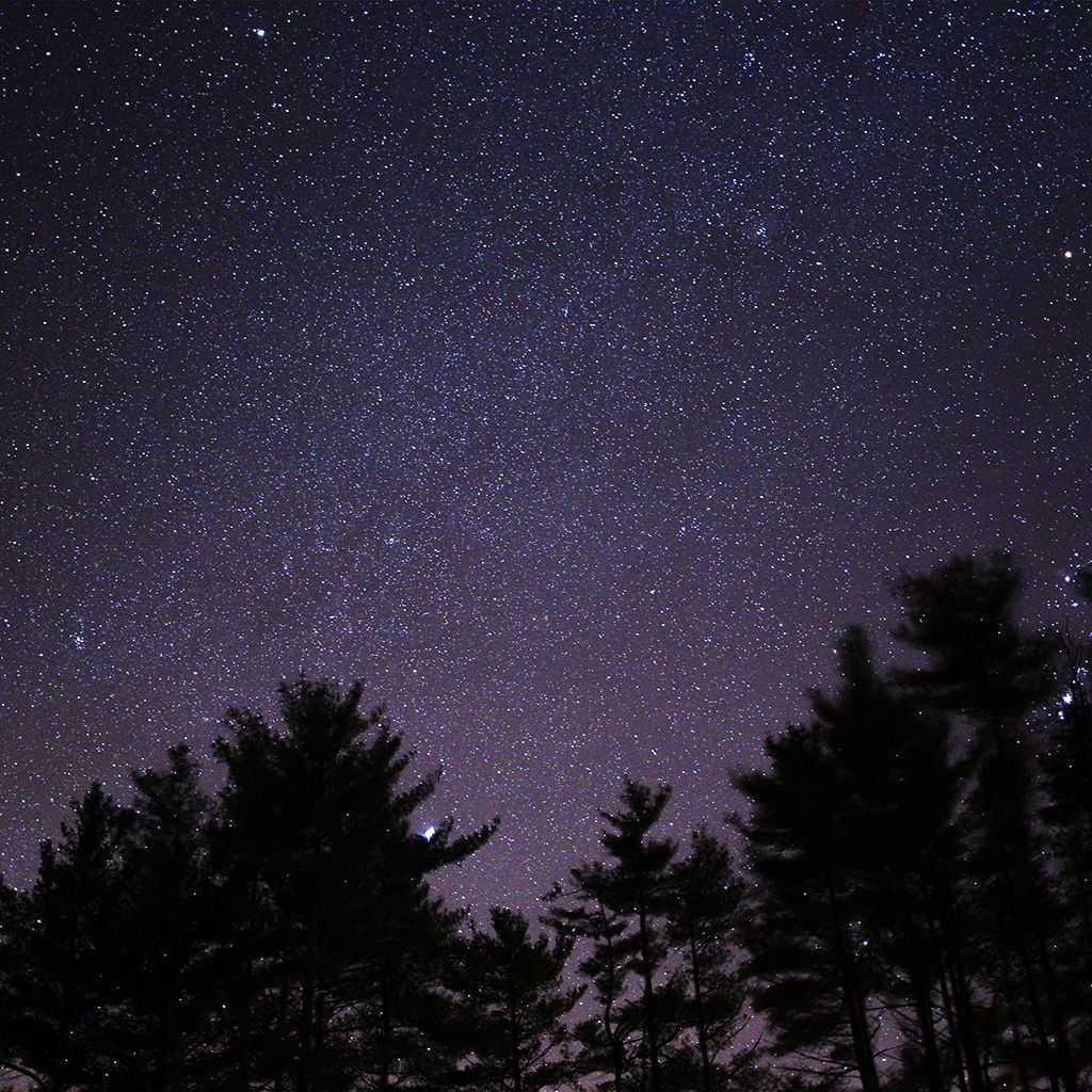 1024x1024 Android wallpaper. night sky star space starry wood dark
