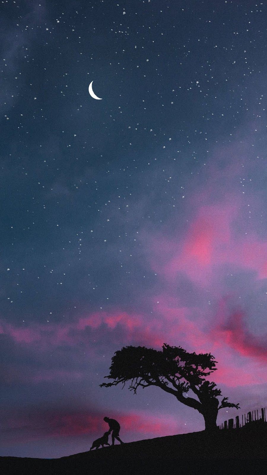 900x1600 Night sky android wallpaper