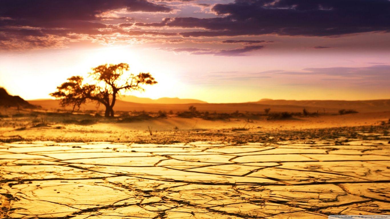 1366x768 African Landscape ❤ 4K HD Desktop Wallpaper for 4K Ultra HD TV