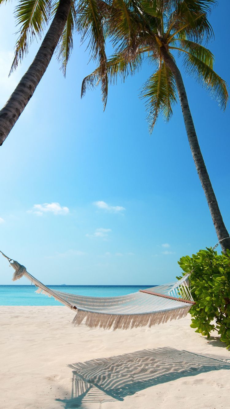 750x1334 Beach, holiday, summer, palm trees, Island, 750x1334 wallpaper. 美しい風景, 美しい景色, 風景