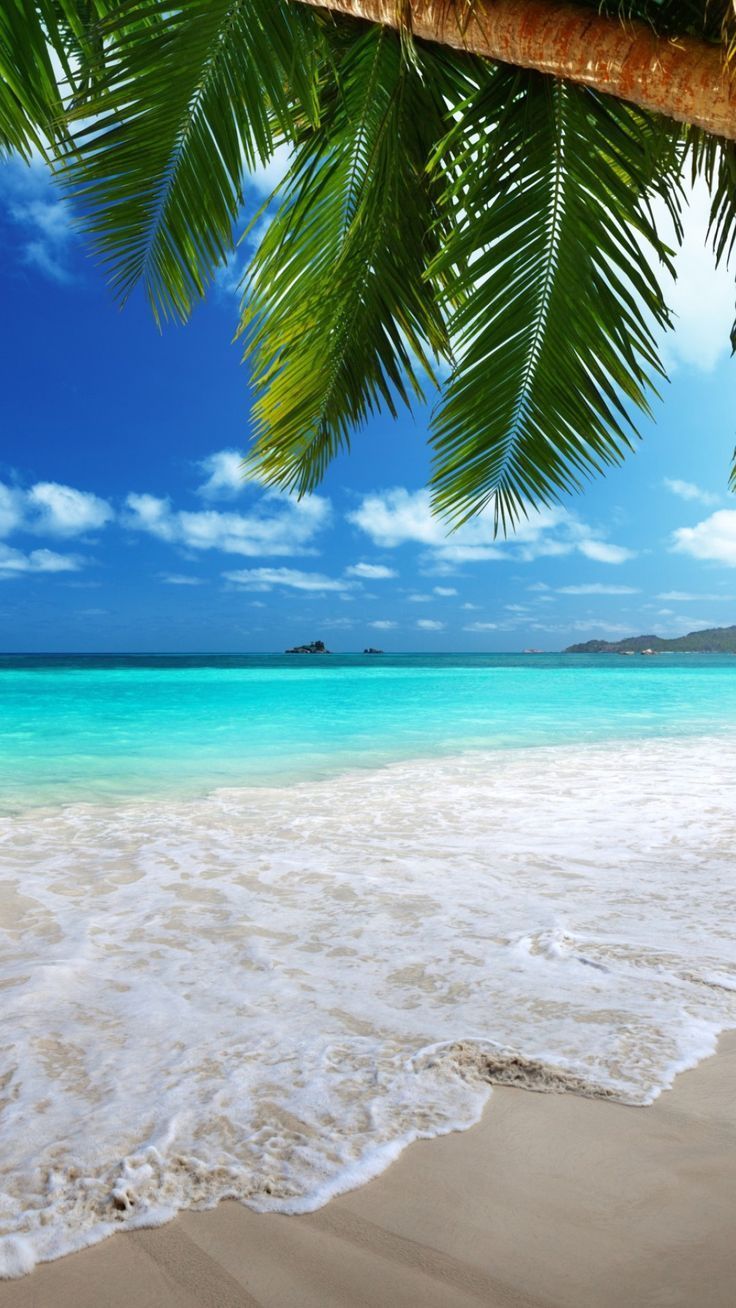 736x1308 Wallpaper Collection : +37 Best Free HD beach wallpaper iphone Background to Download PC, Mo.. Beach picture wallpaper, Beach wallpaper iphone, Beach wallpaper