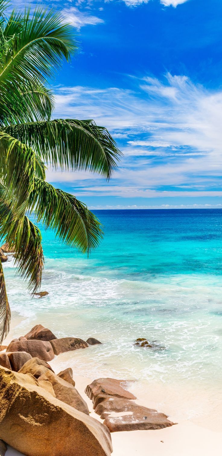 736x1512 hd wallpaper photo, Beautiful beaches, Beach picture
