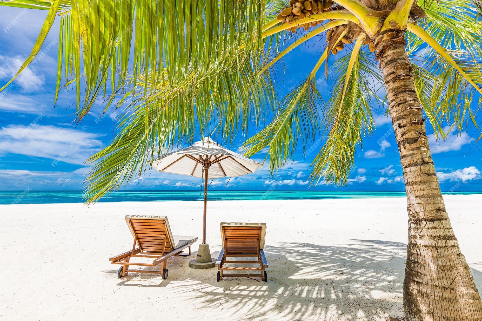 2000x1333 Premium Photo. Tranquil beach scene. exotic tropical beach landscape for background or wallpaper. design of summer