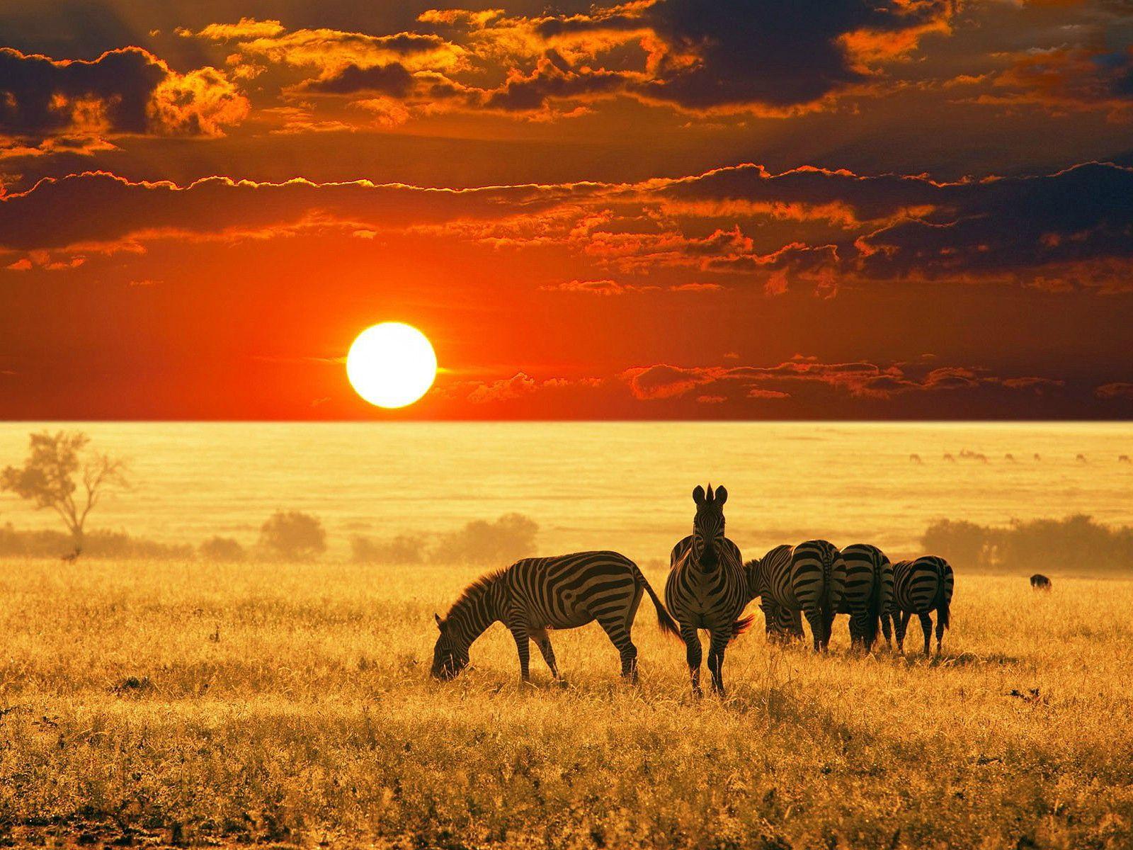 1600x1200 Africa Wallpaper 13410