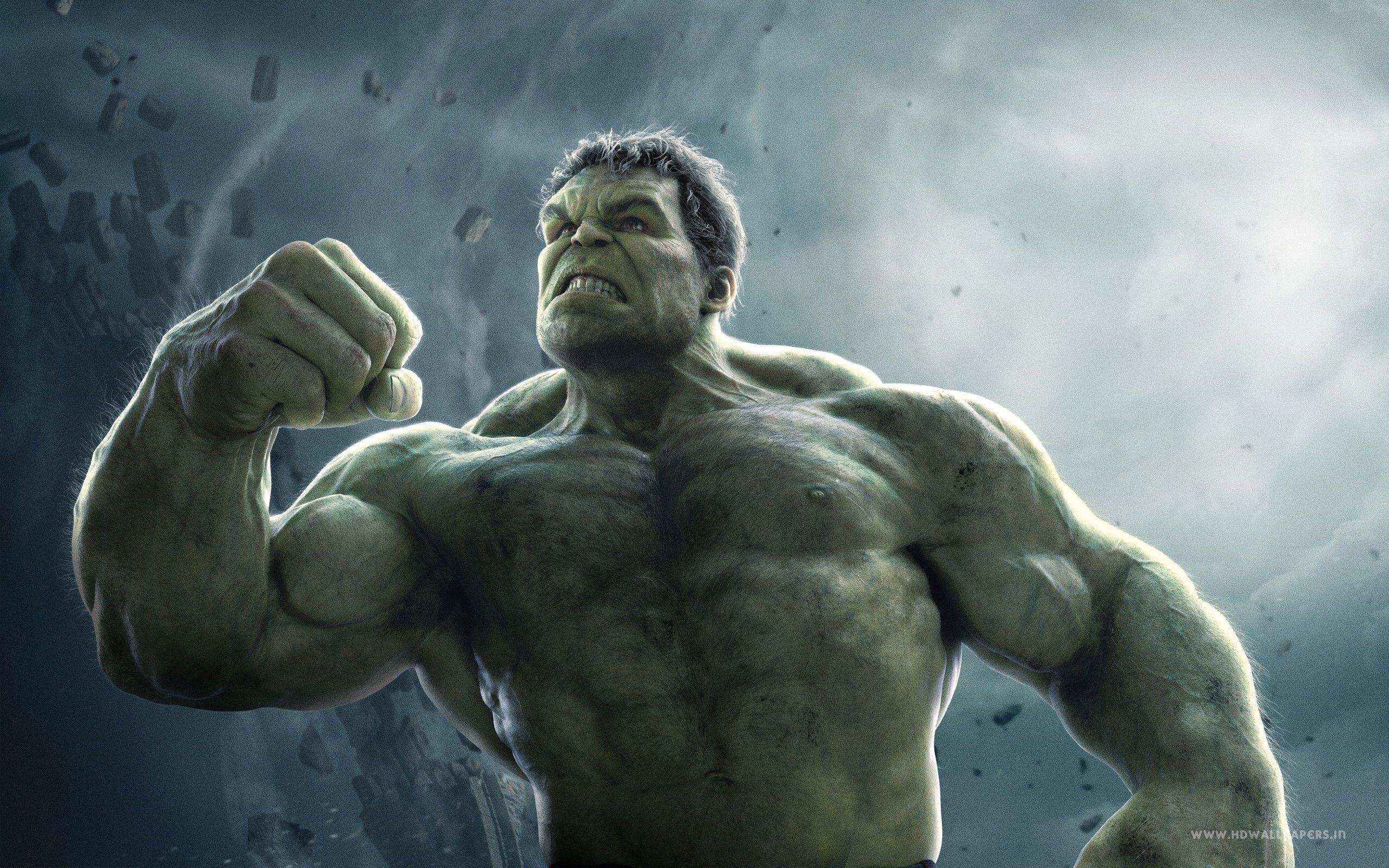 2560x1600 Hulk in Avengers Age of Ultron Wallpaper 2k Quad HD