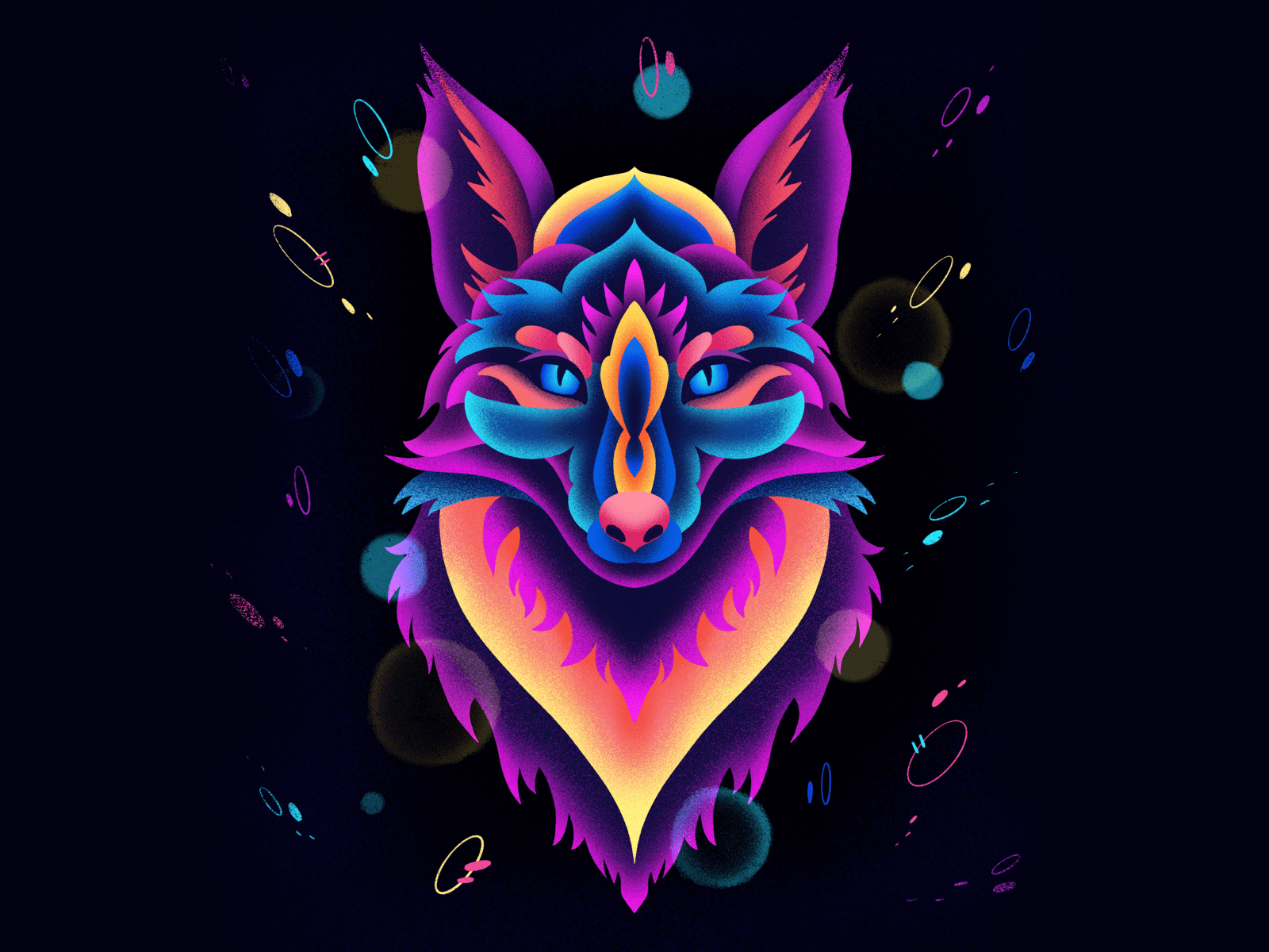 1600x1200 Neon fox design by Anastasia Cartovenco (Karmina Art) on Dribbble