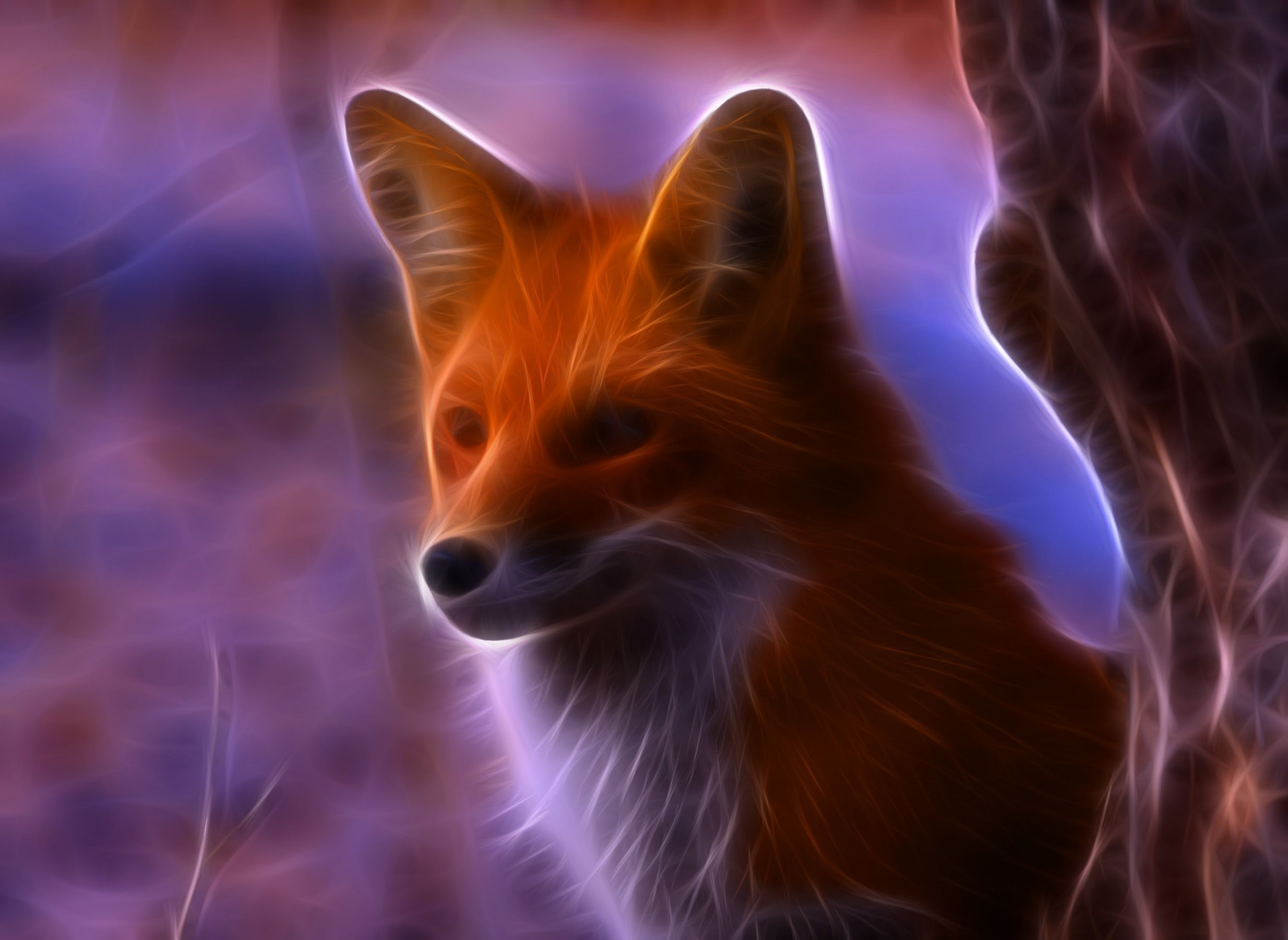 2468x1800 Background Fox Wallpaper Discover More Carnivorous, Cute, Ferocious, Fox, Mammal Wallpaper. /background Fox. Fox, Fox Picture, Animals