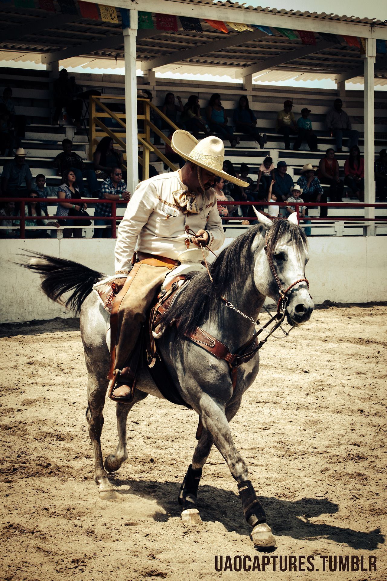 Charro Wallpapers - Top Free Charro Backgrounds - WallpaperAccess