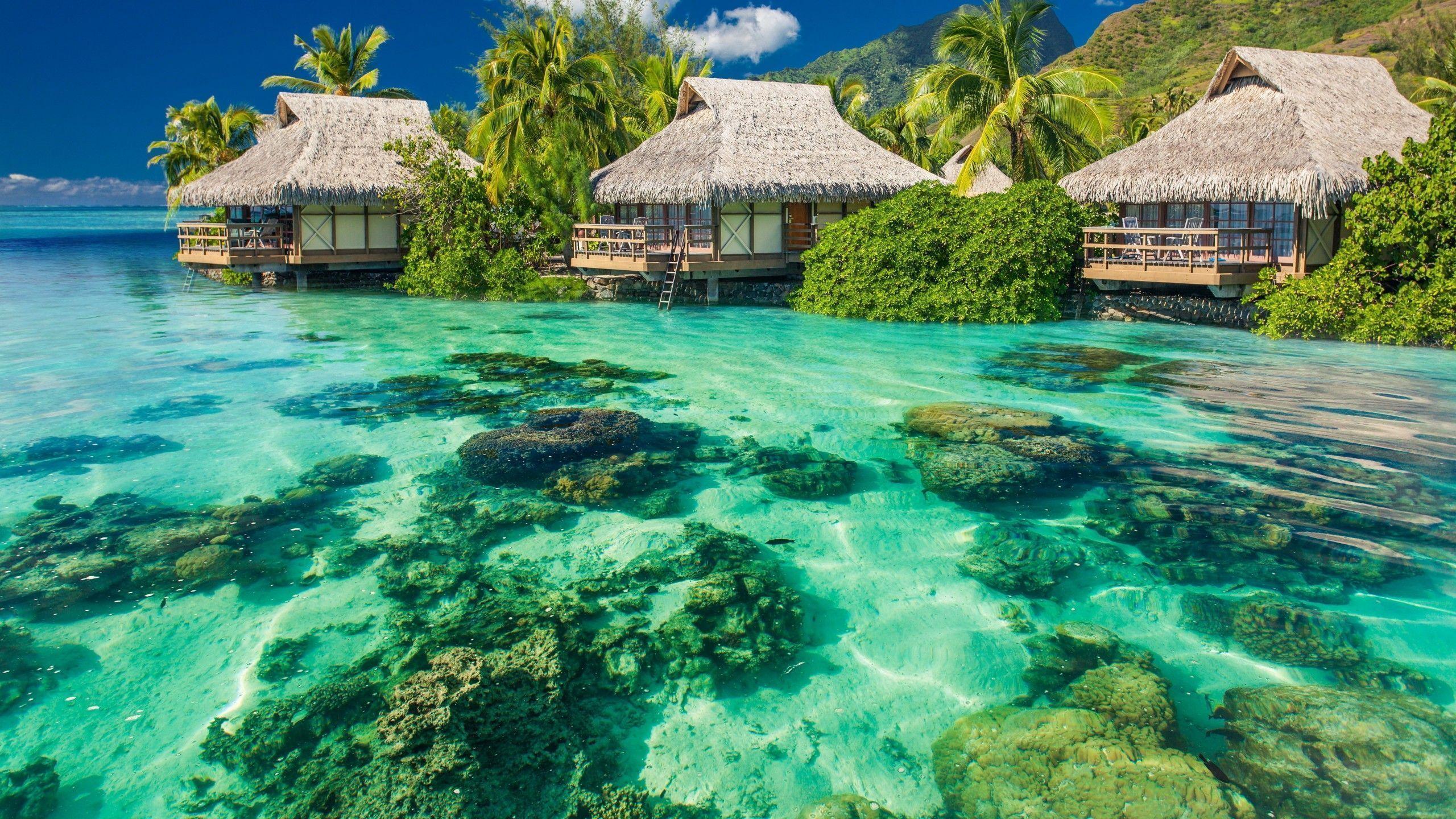 2560x1440 Summer Beach Paradise Wallpaper Free Desktop 4k Ultra HD