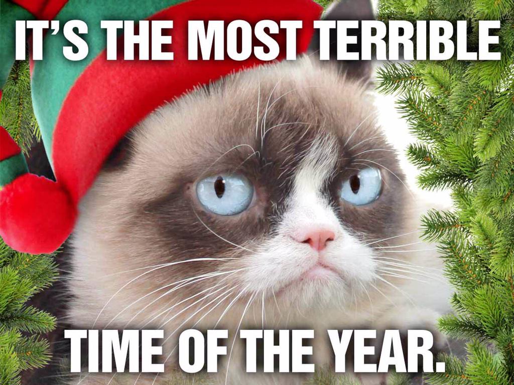 1024x768 Grumpy Cat on X: Have a very grumpy Christmas. / X