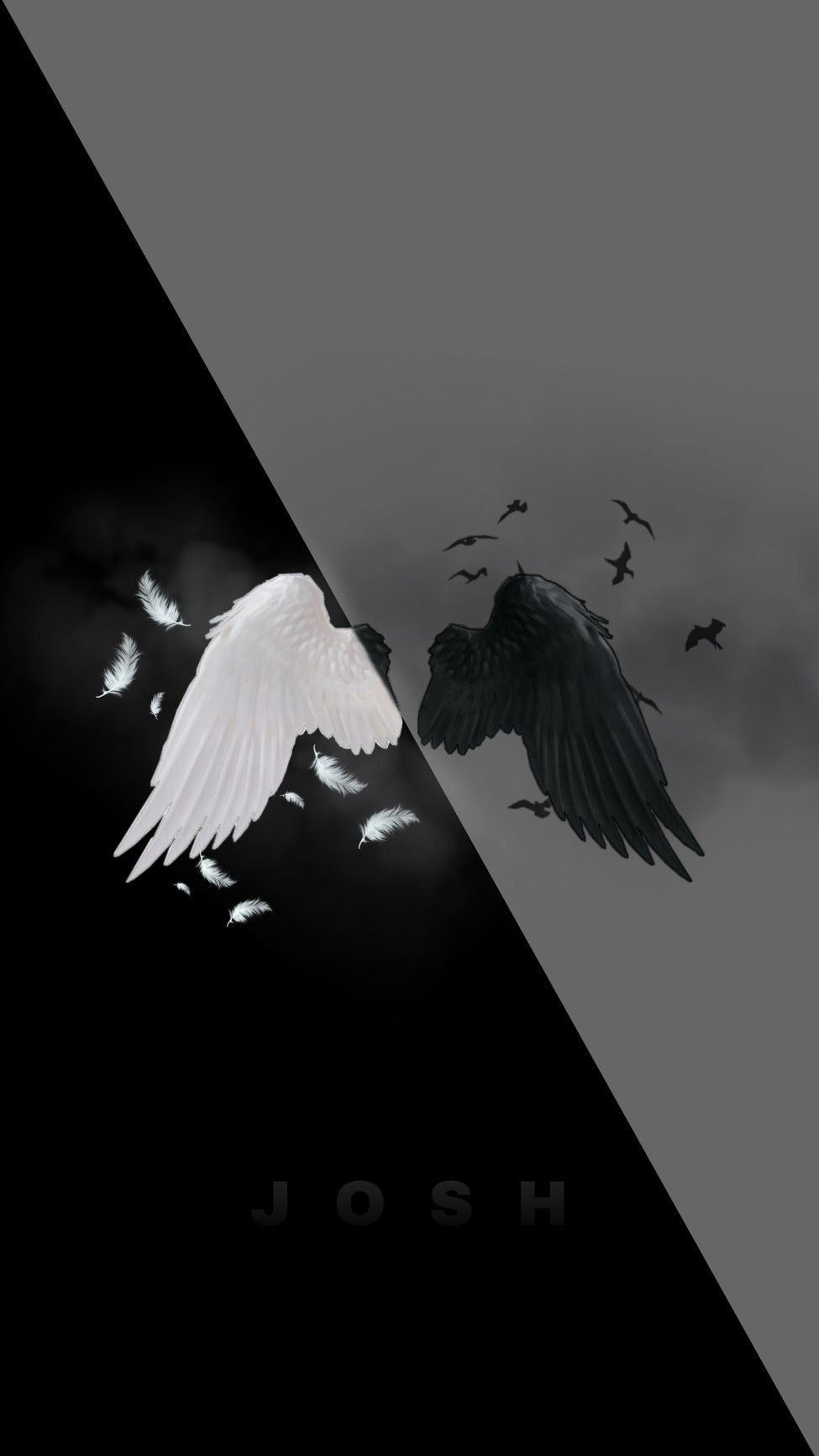 Black and White Wings Wallpapers Top Free Black and White Wings