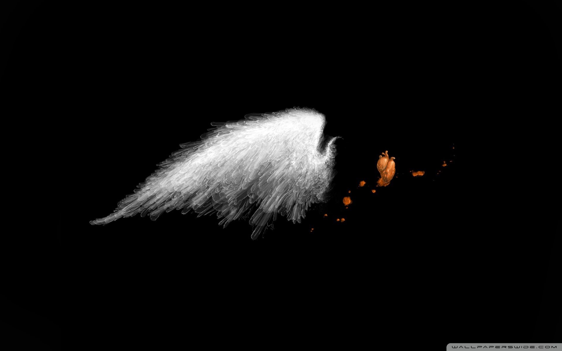 1920x1200 White Wings Ultra HD Desktop Background Wallpaper for 4K UHD TV : Widescreen & UltraWide Desktop & Laptop : Tablet