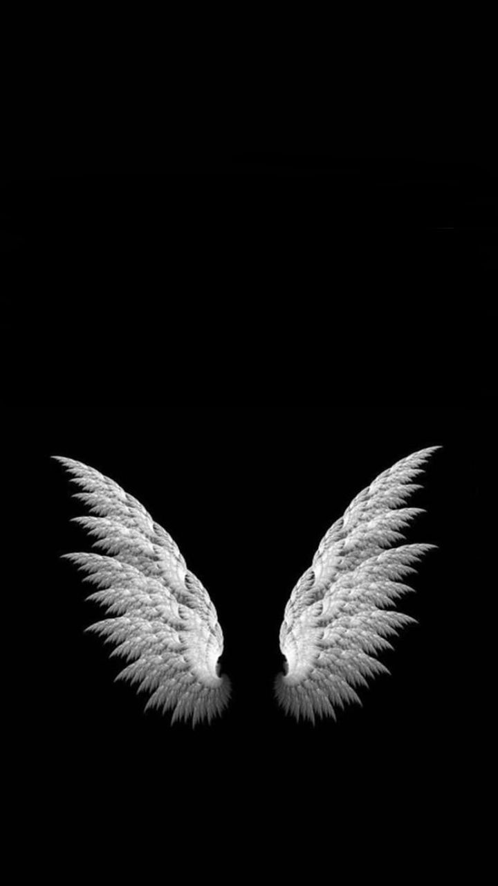 720x1280 Black Wings Wallpaper