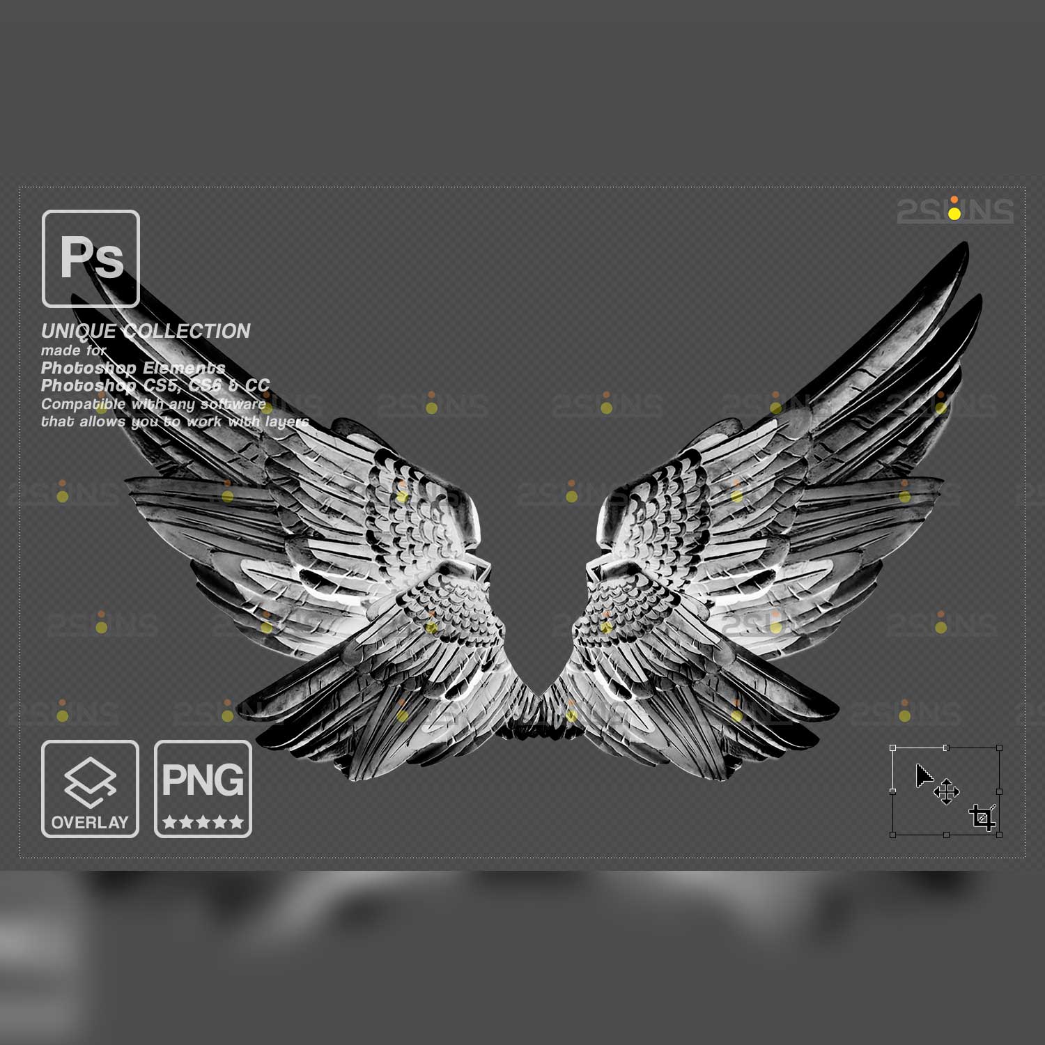 1500x1500 Realistic White Black Gold Angel Wings Photohop Overlays