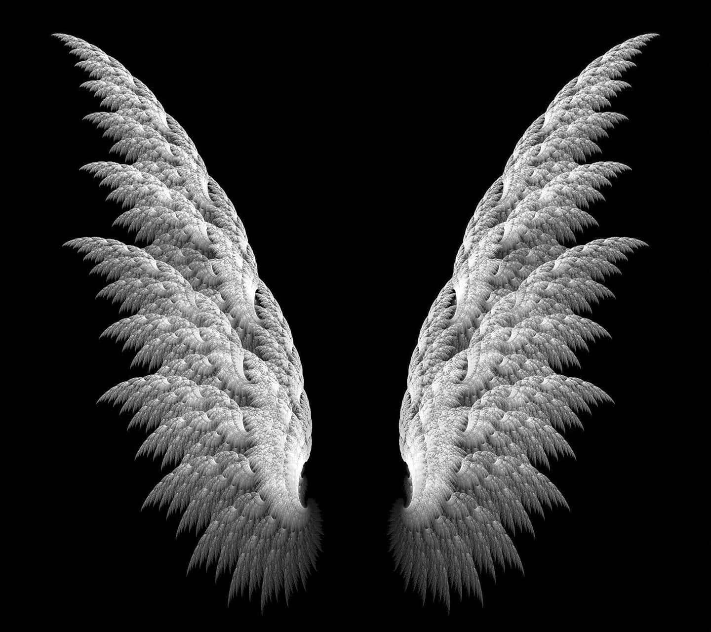 1440x1280 Download two angel wings on a black background