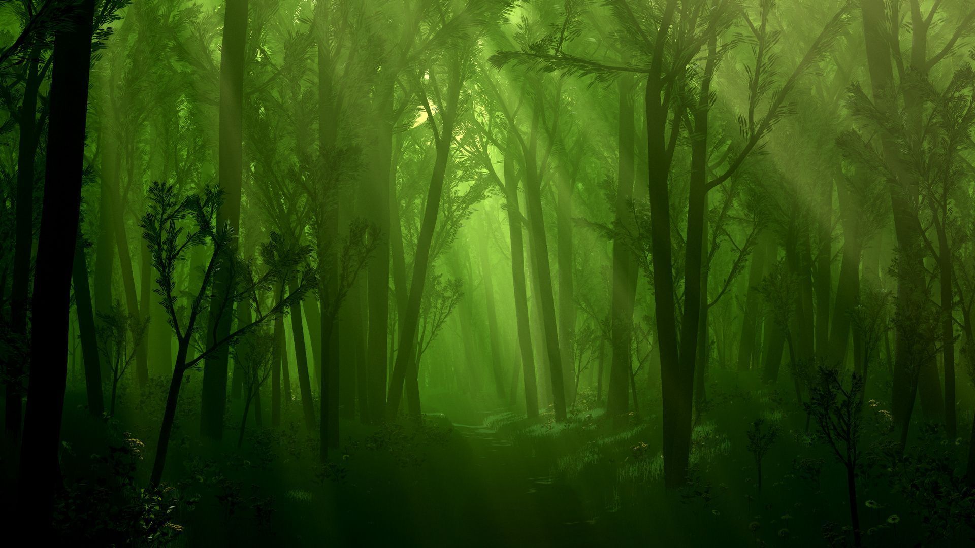 1920x1080 Fantasy Forest Background. Fantasy Wallpaper. Forest background, Forest wallpaper, Fantasy forest