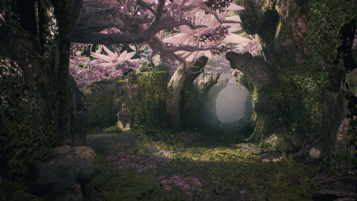 1244x700 Paragon Fantasy Forest Jungle (f1) Wallpaperx1080