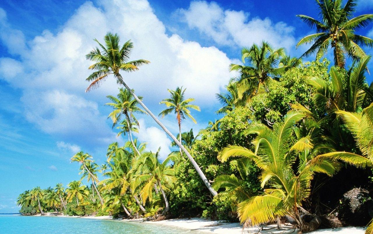 1280x804 Beach paradise wallpaper. Beach paradise