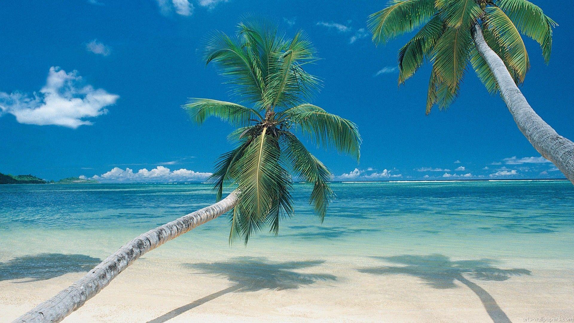 1920x1080 Beach Paradise Wallpaper