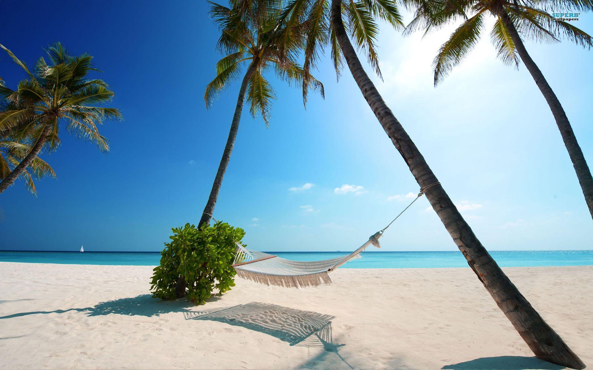 1920x1200 hammock beach palms paradise. Future Board. Beach wallpaper