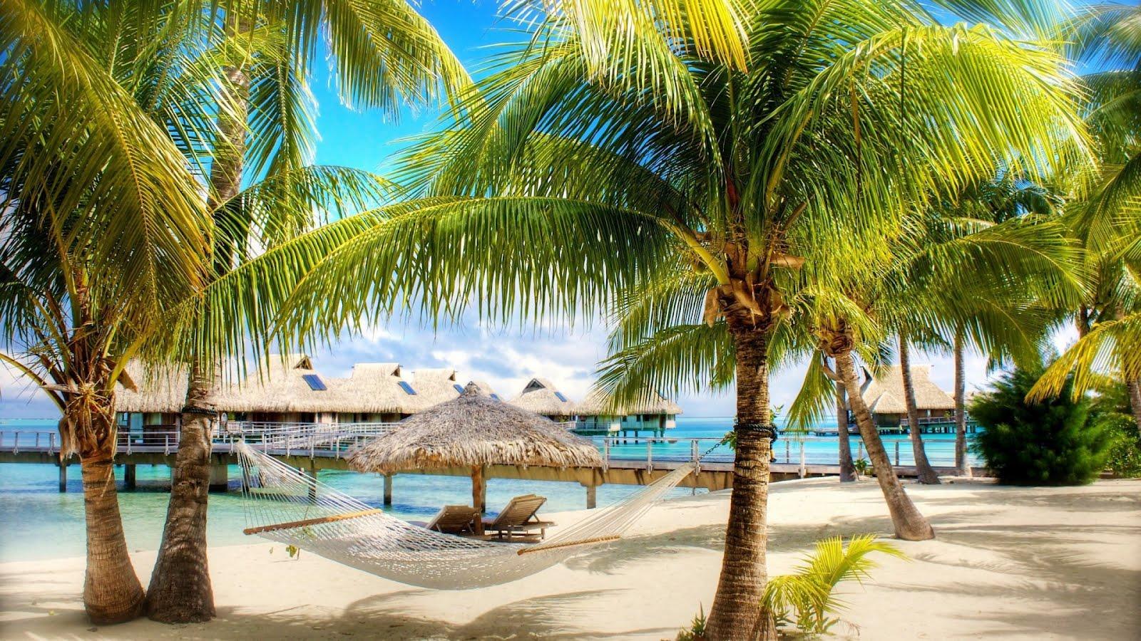 1600x900 Tropical Beach, Paradise Wallpaper : Details and Specifications