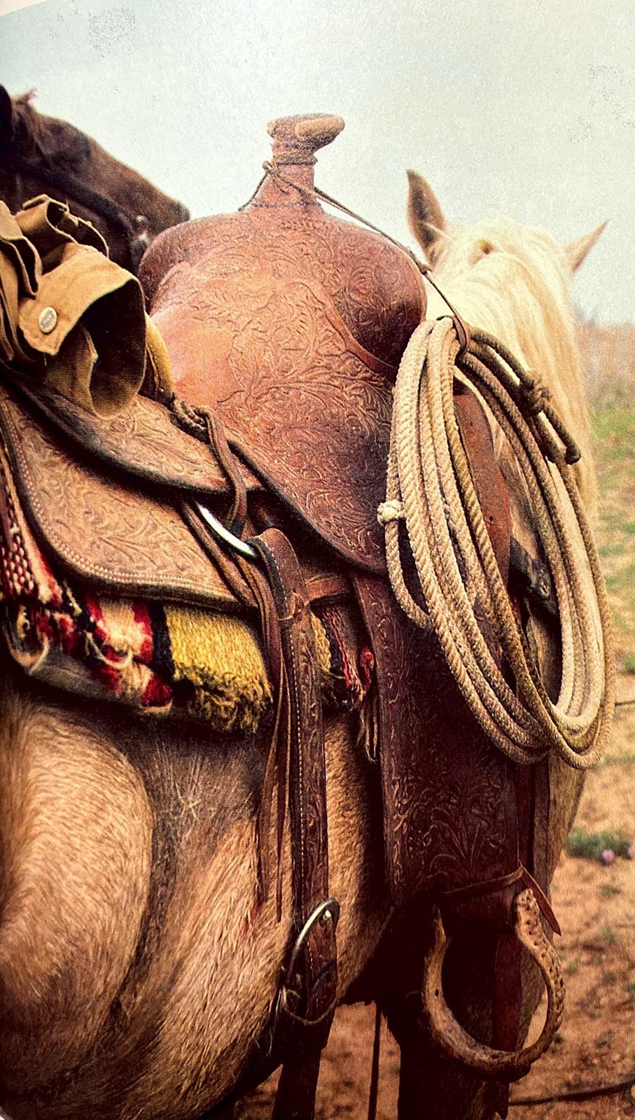 Saddle Wallpapers - Top Free Saddle Backgrounds - WallpaperAccess