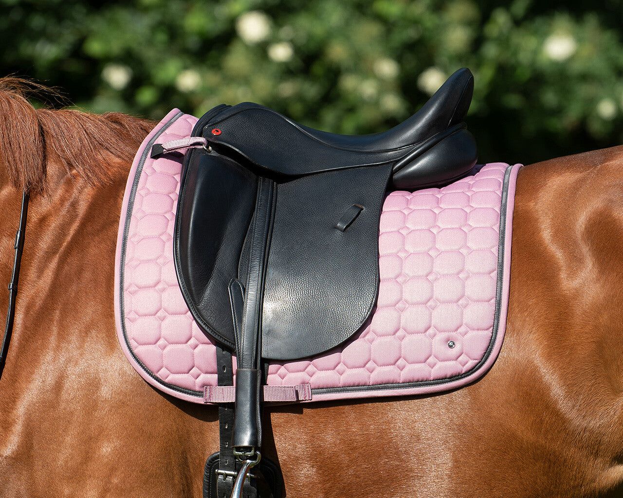 Saddle Wallpapers - Top Free Saddle Backgrounds - WallpaperAccess