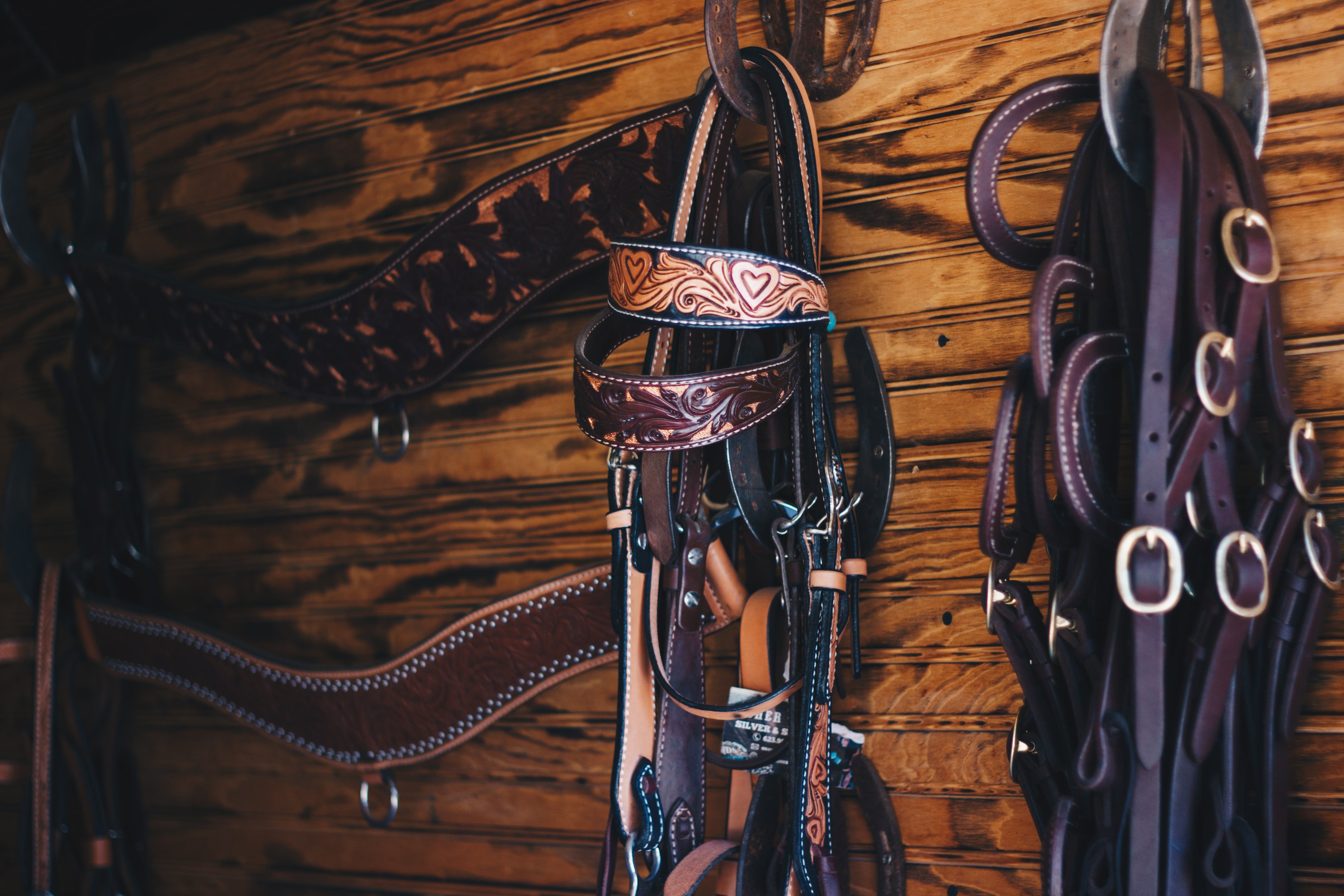 Saddle Wallpapers - Top Free Saddle Backgrounds - WallpaperAccess