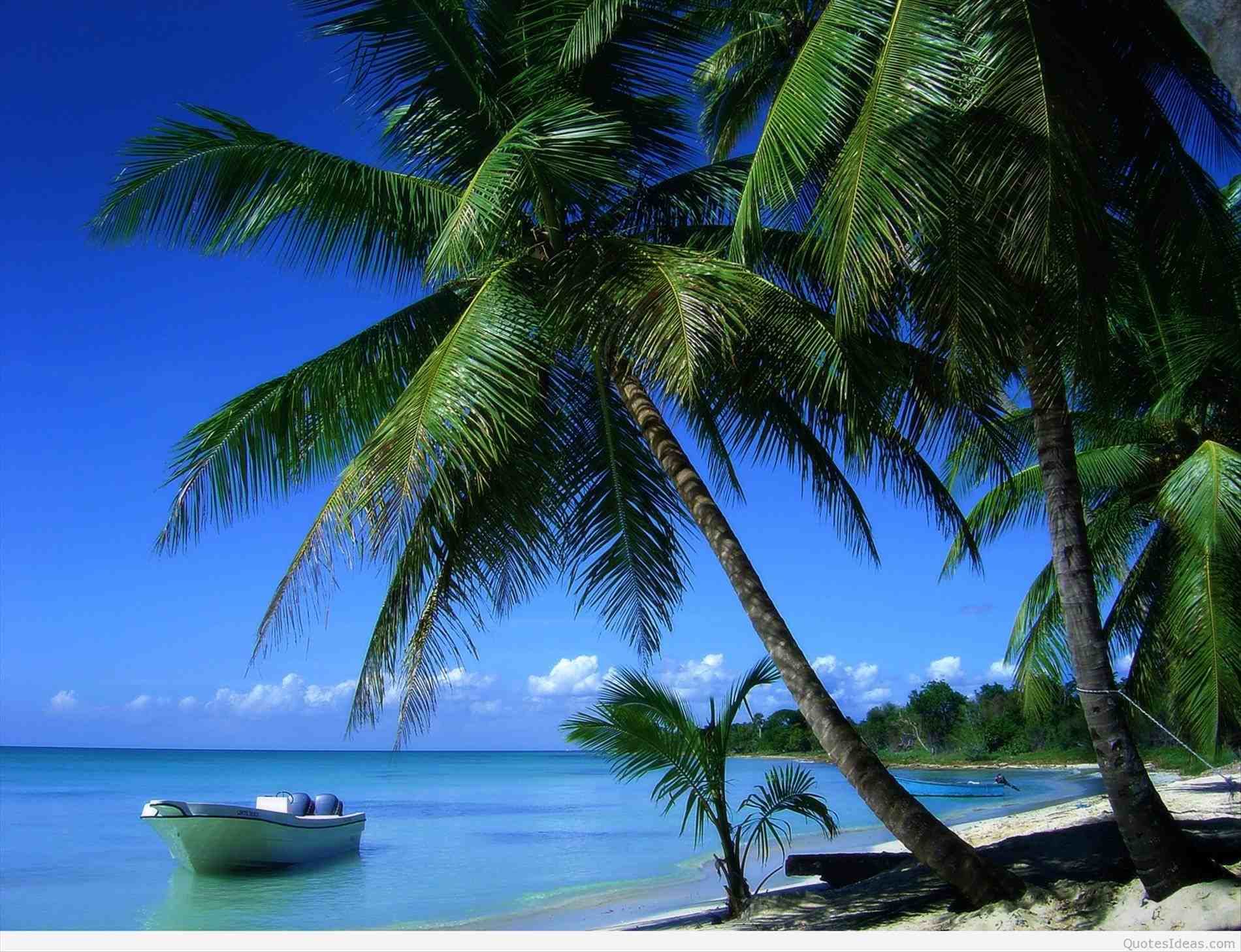 1900x1457 Beach Paradise Wallpaper (image in Collection)