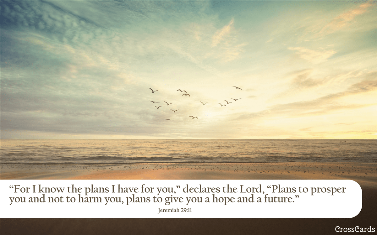 1200x750 Bible Verse Phone Wallpaper Christian Scripture Background