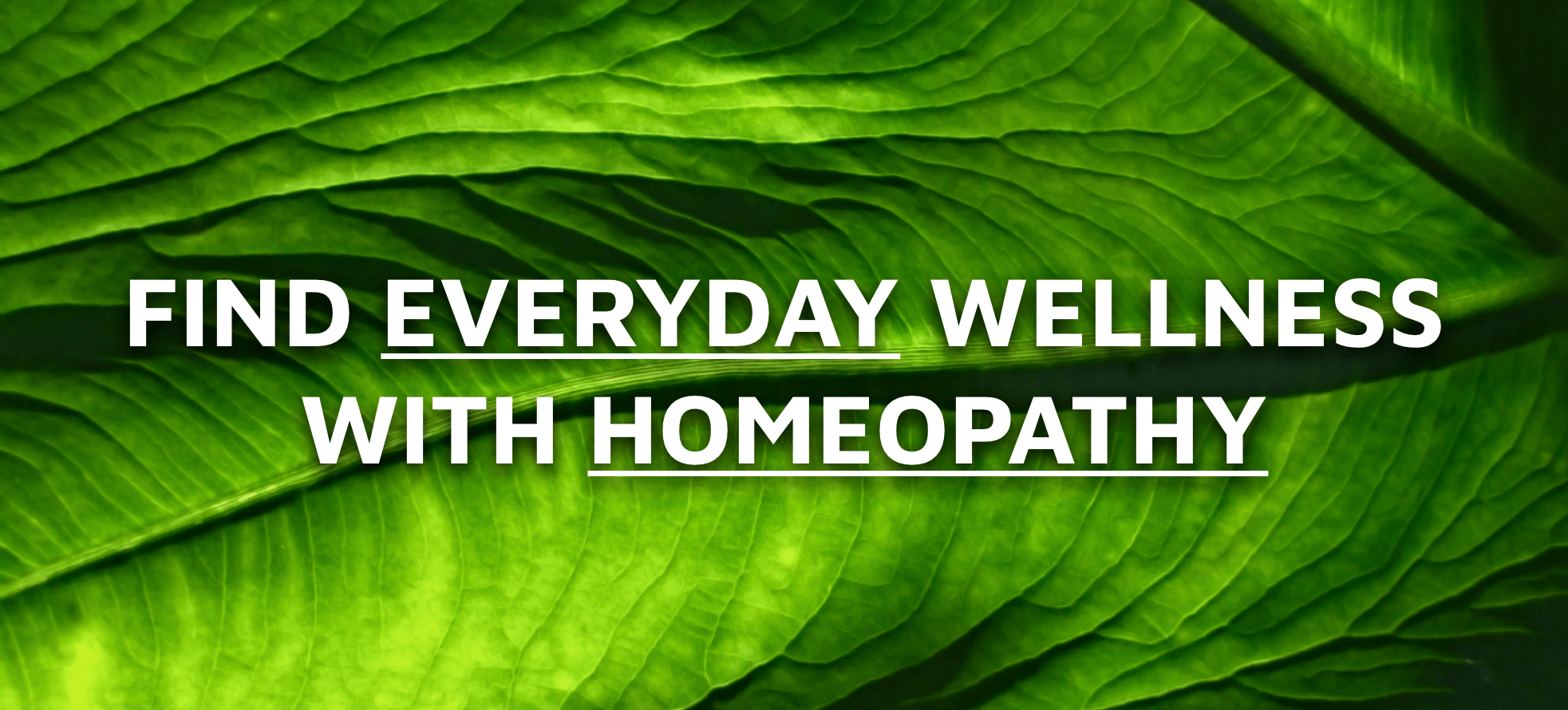 1965x890 Homeopathy Heals