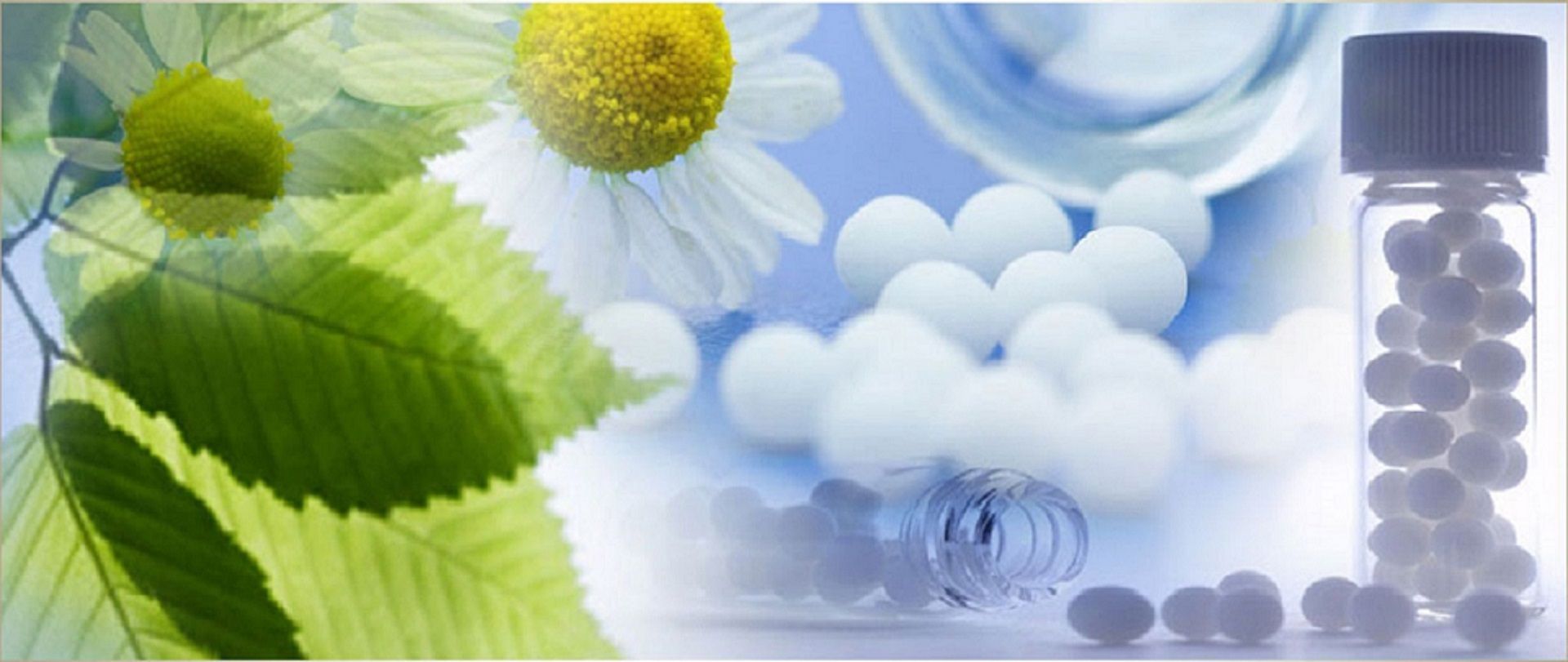 1920x811 Dr.Raisoni Homeopathy Clinic