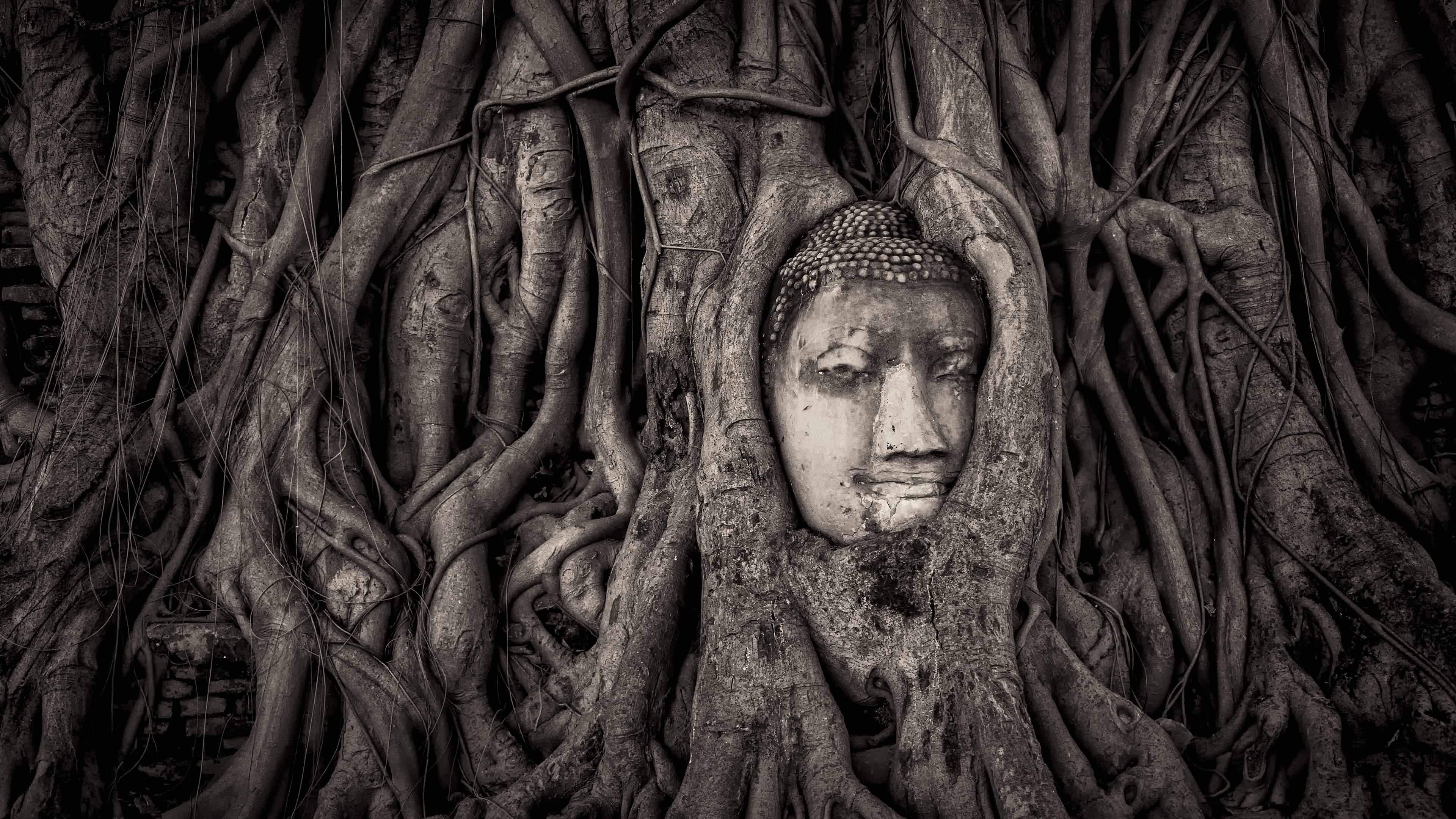 3840x2160 Buddha Head In Tree Roots Wat Mahathat Ayutthaya Thailand UHD 4K Wallpaper