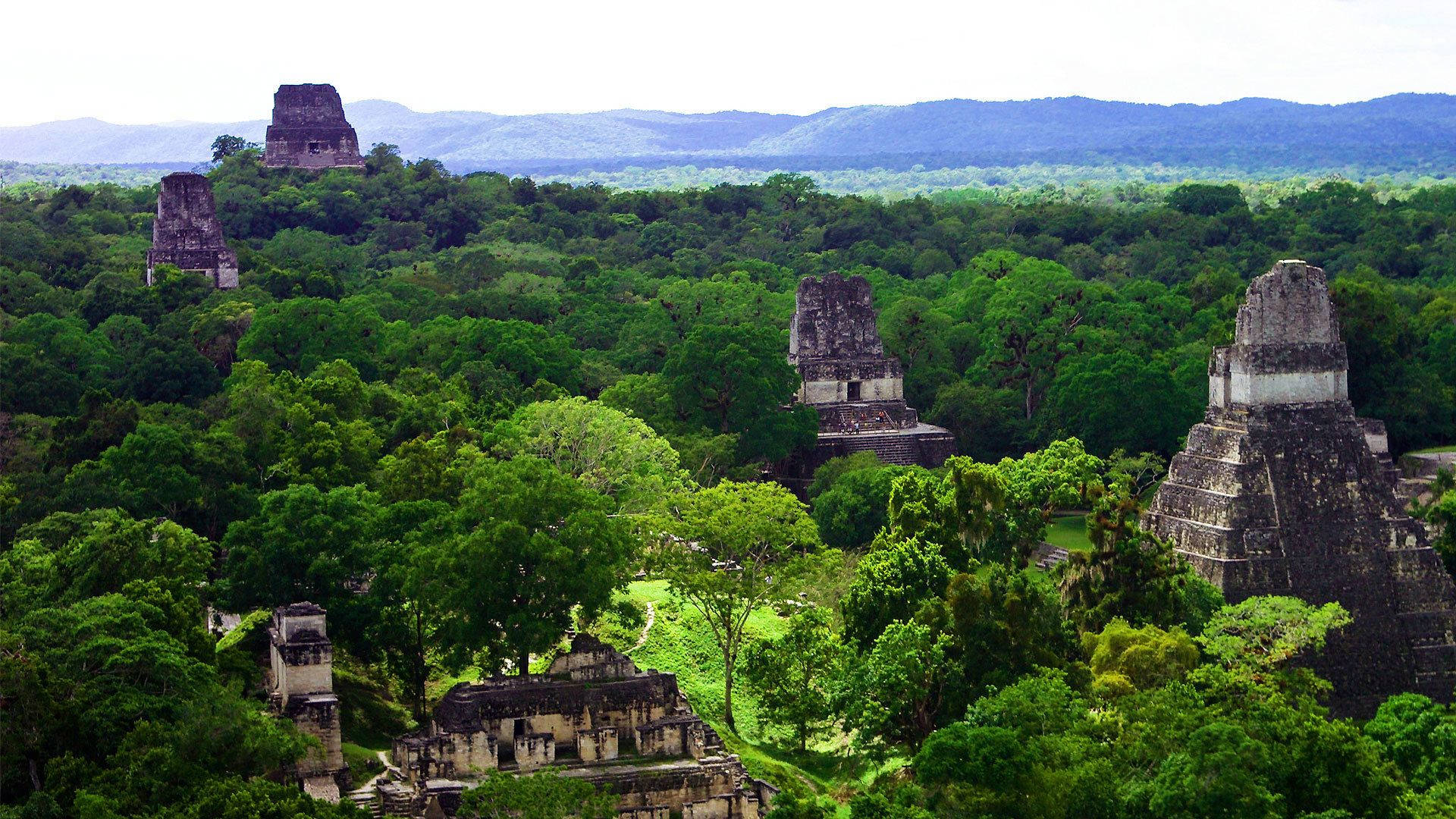 1920x1080 Download Tikal In Forest Wallpaper