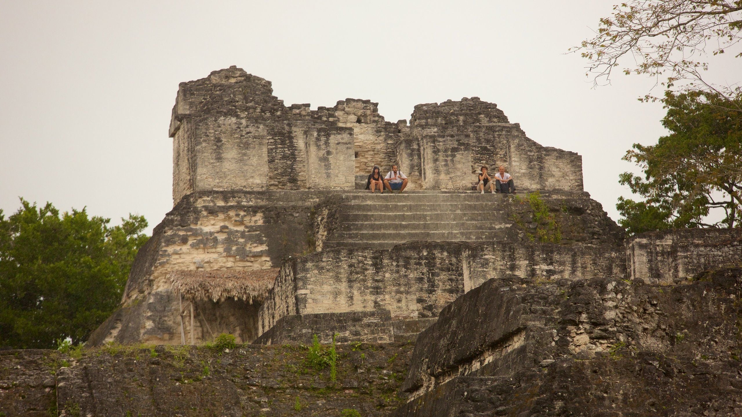 2560x1440 Tikal National Park in Flores and Activities