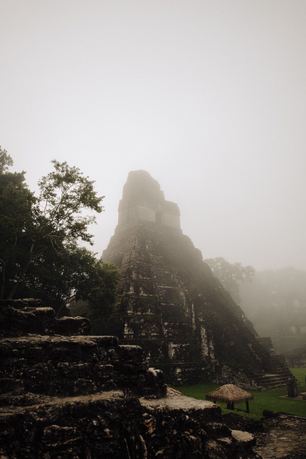 1000x1500 A large pyramid in the middle of a forest photo