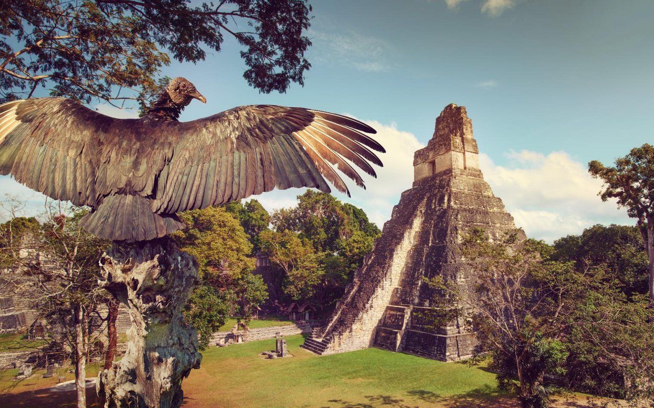 1280x800 All about the Maya site of Tikal in Guatemala