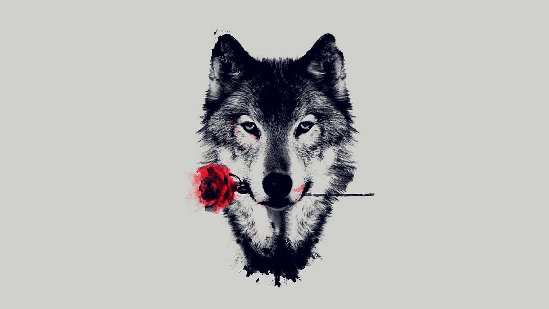 1920x1080 Lone Wolf Wallpaper Abstract Black And White