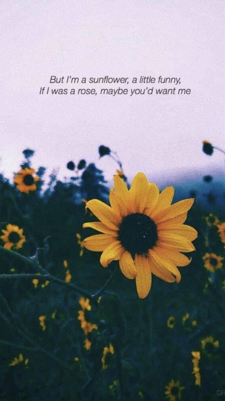 720x1280 Sunflowers With Quotes Wallpaper