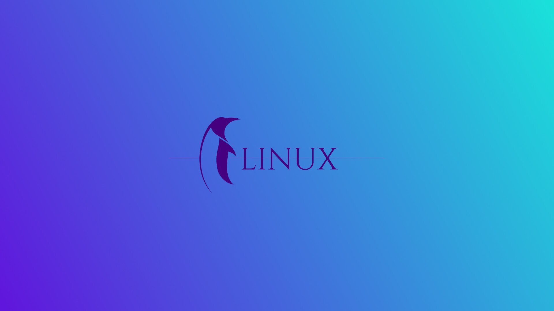 1920x1080 X-এ DINHO T.N