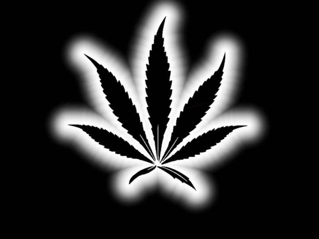 1024x768 Download Black Weed Leaf With White Glow Wallpaper