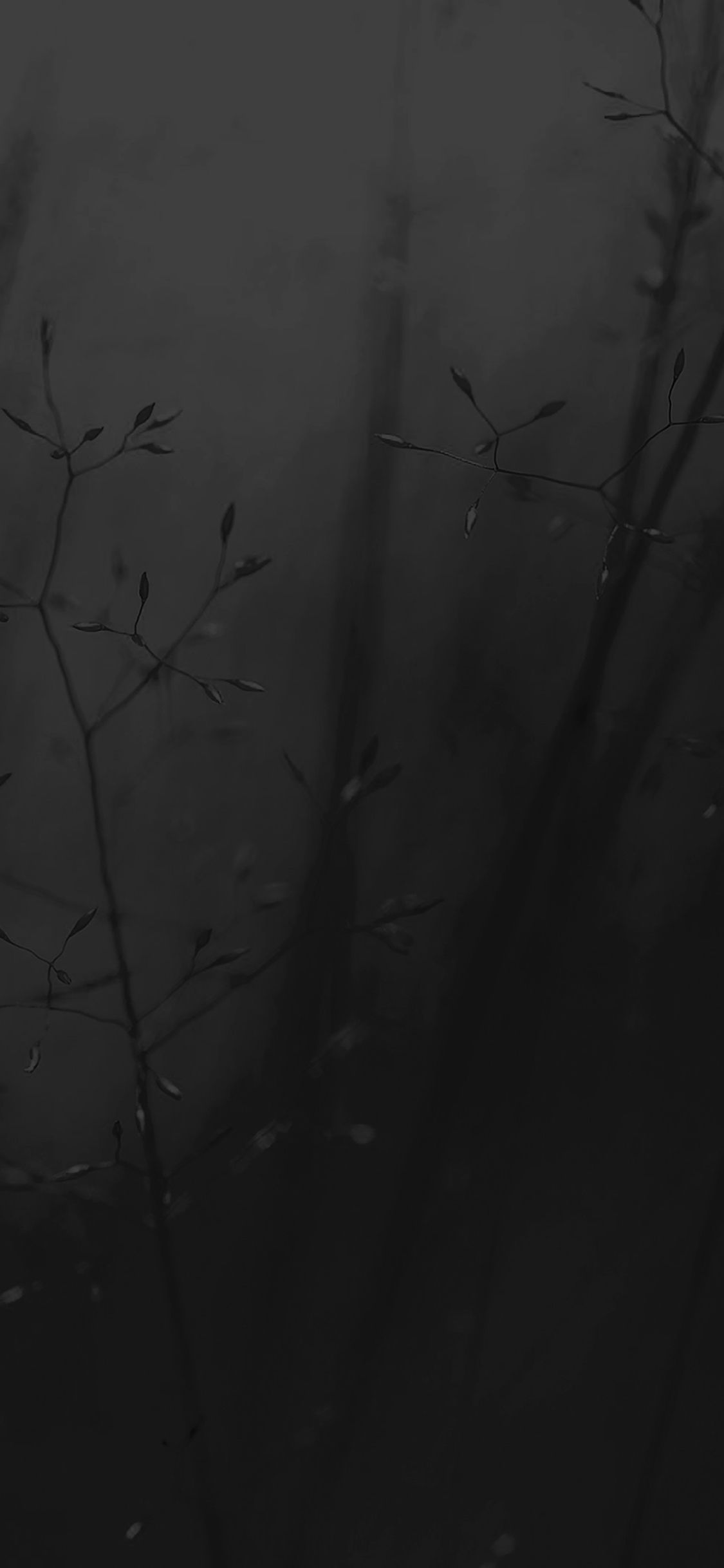 1125x2436 Lg G3 Weed Dark Flower Nature