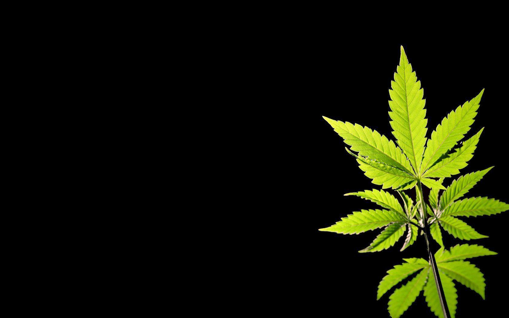 1680x1050 Weed Wallpaper Desktop