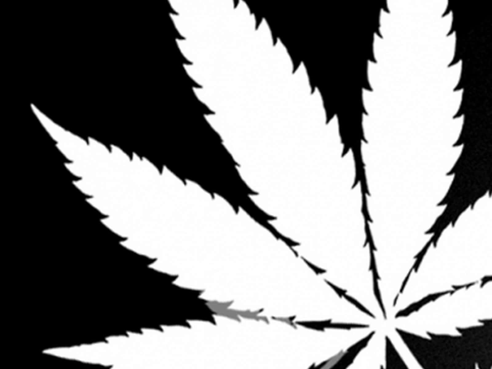 1600x1200 Download White Marijuana Leaf On Black Wallpaper