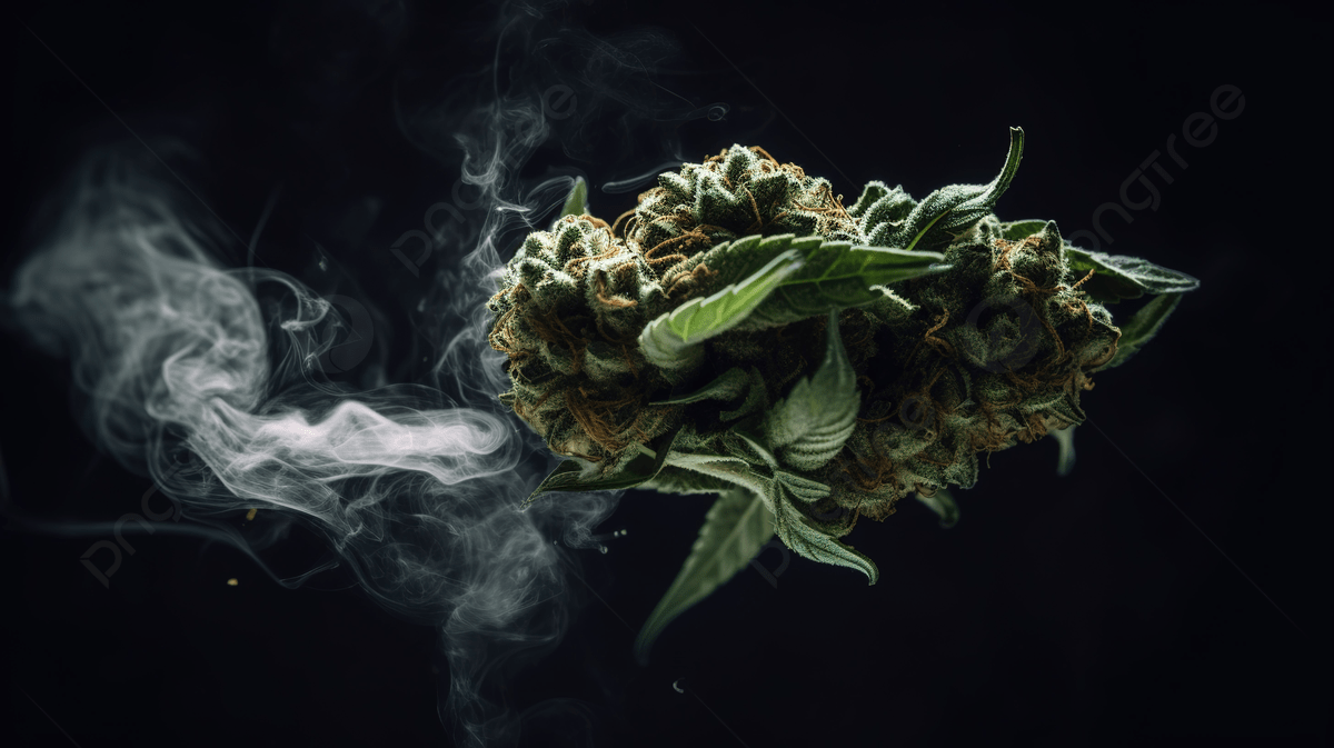 1200x673 Cannabis Flower And Smoke On Black Background, 420 Weed Picture Background Image And Wallpaper for Free Download