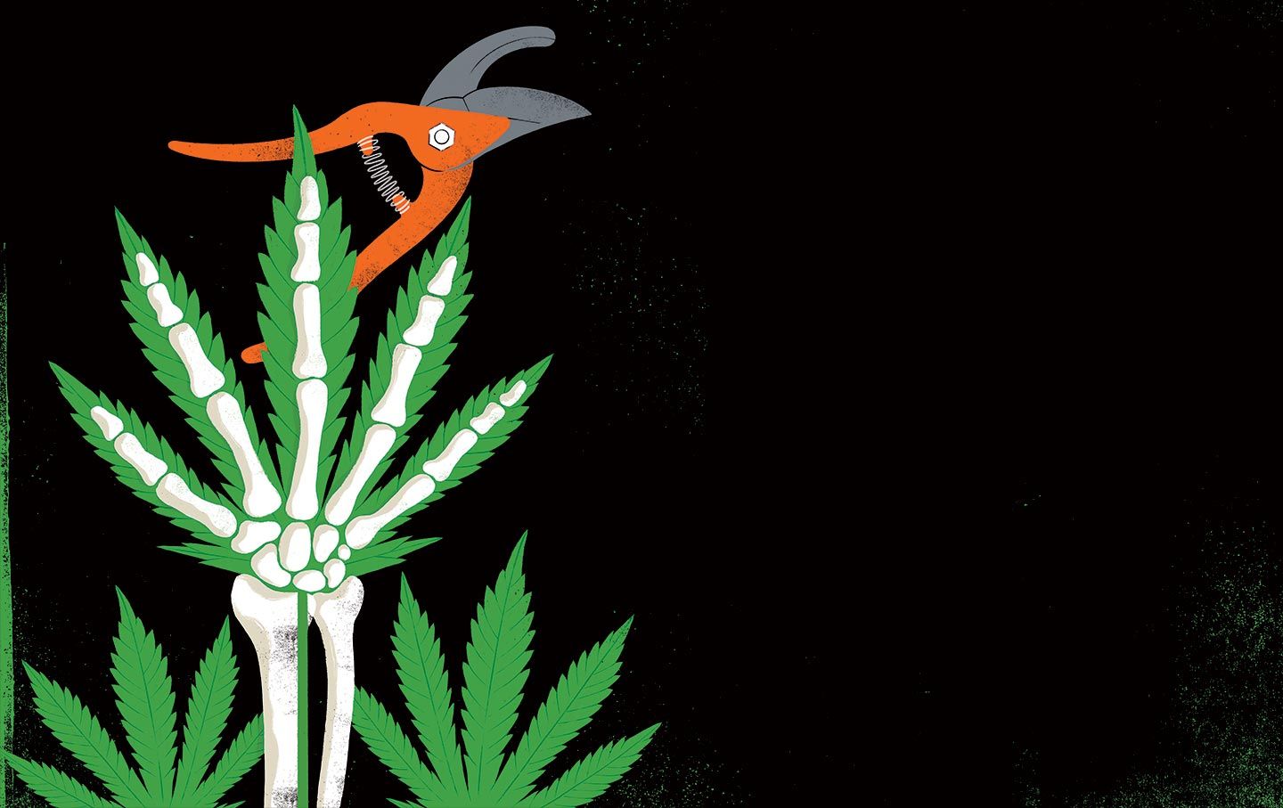 1440x907 Exploitation, Abuse, and Death: The Dark Side of Working in the Weed Industry