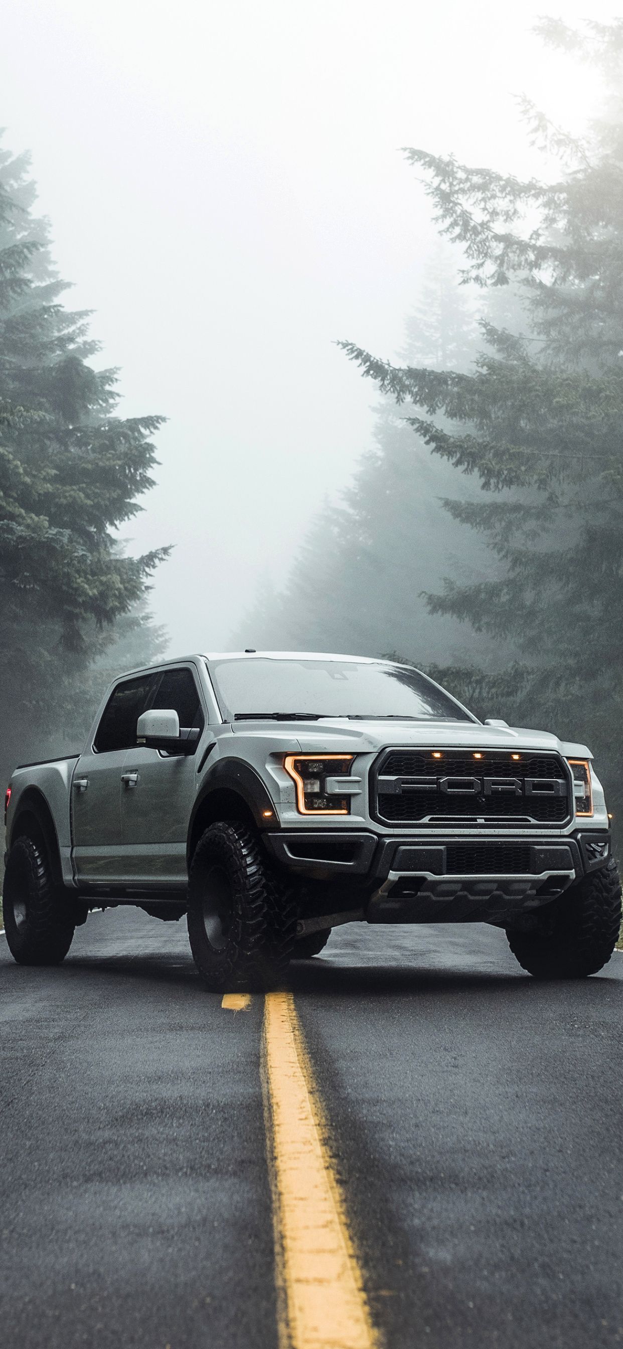 1242x2688 Ford F 150 Wallpaper from wallspic.com [1242x2688]